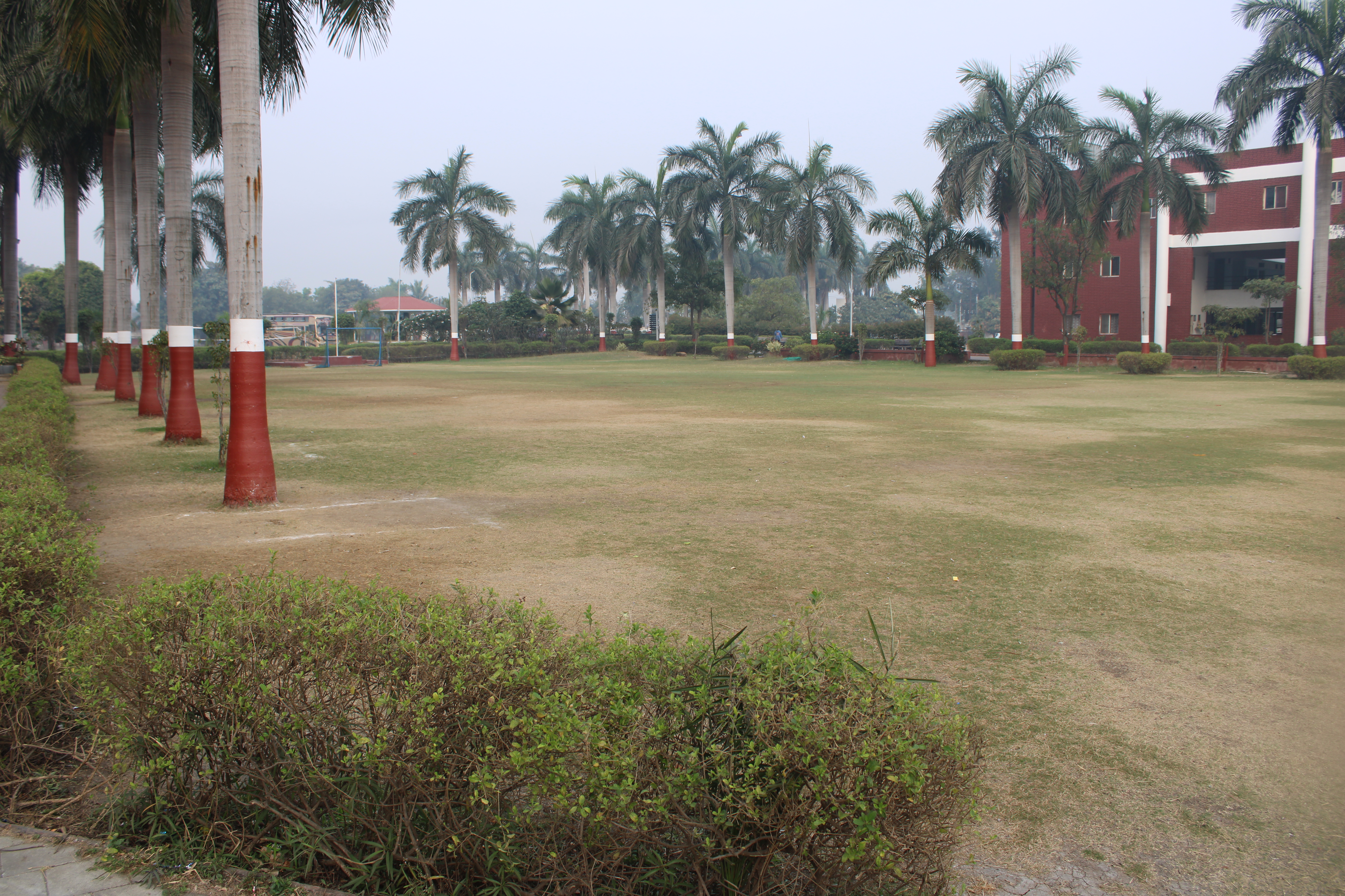 Sports Grounds